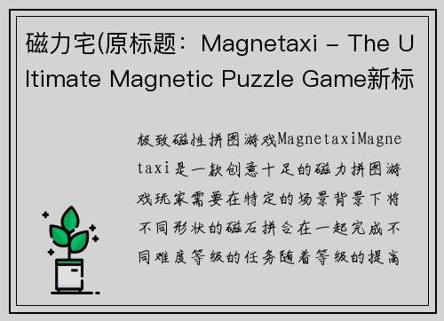 磁力宅(原标题：Magnetaxi - The Ultimate Magnetic Puzzle Game新标题：极致磁性拼图游戏-Magnetaxi)